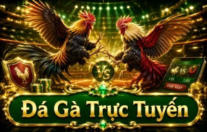 Giao diện sảnh Đá Gà luxurygoodass